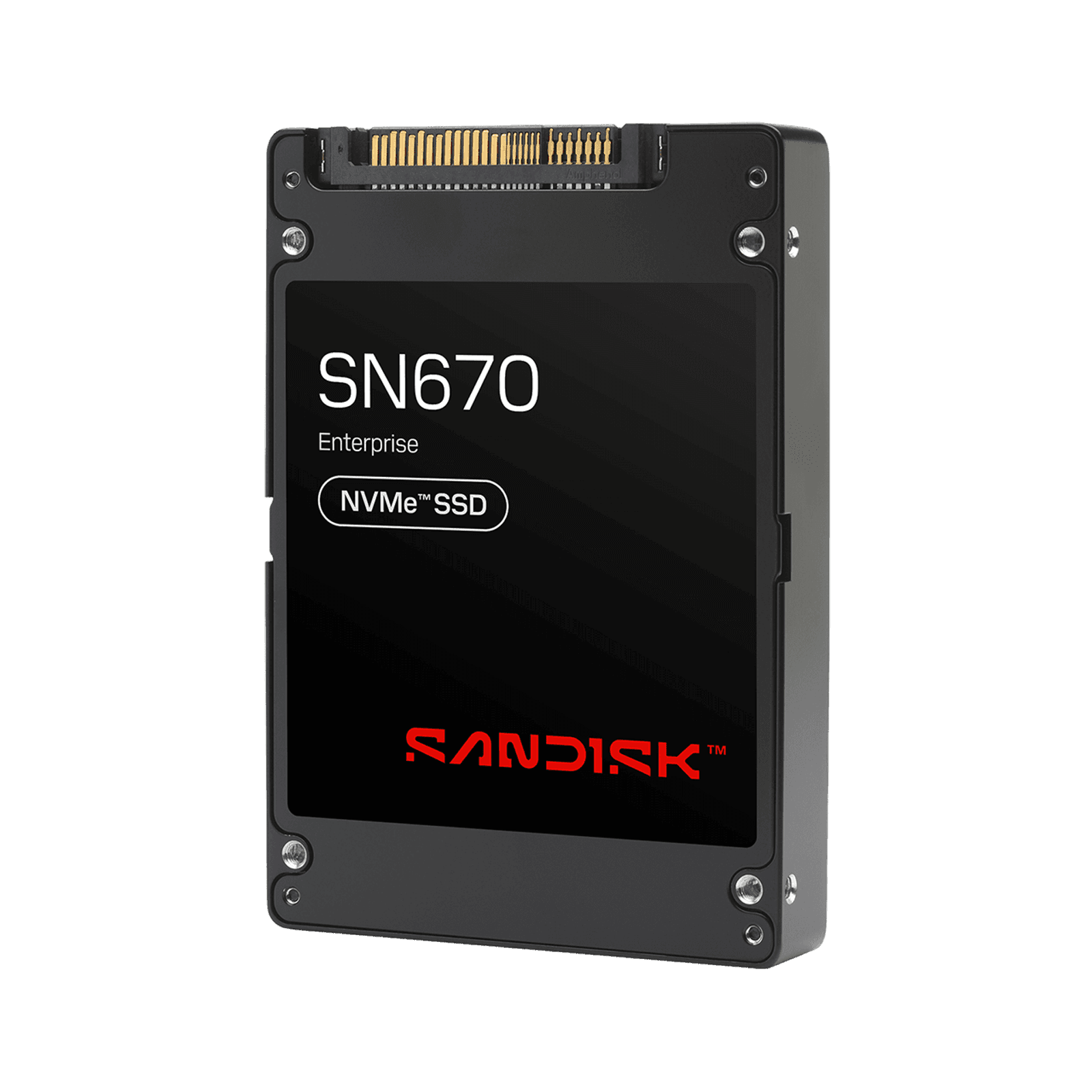 SANDISK SN670 NVMe™ SSD - 61.44TB